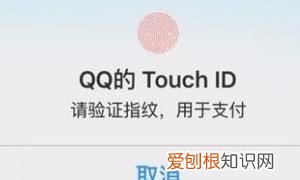 如何开启QQ指纹支付功能