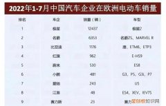 电动车排名前十名，两轮电动车全球销售排名前十名