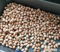 烤箱烤花生米时间温度，烤箱烤牛奶花生米时间和温度多少