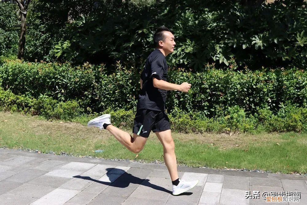 博尔特跑鞋多少钱？