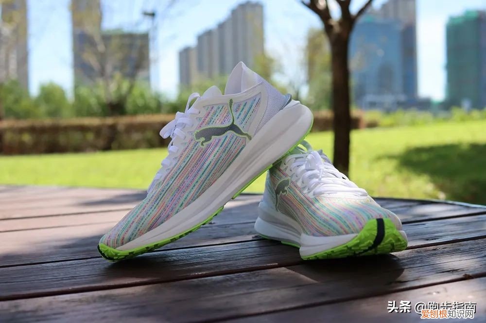博尔特跑鞋多少钱？