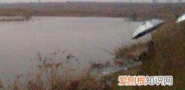 钓鱼怎么选择钓点