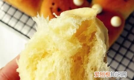 为什么吐司二次发酵老是发不起来