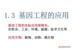 基因工程的意义有哪些，基因工程的主要应用在哪些方面