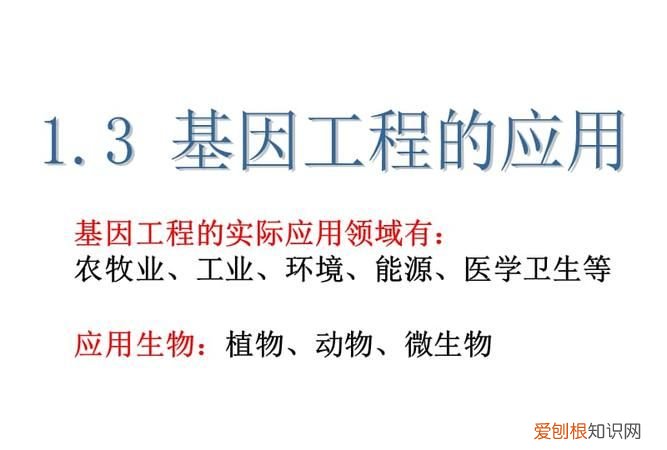 基因工程的意义有哪些,基因工程的主要应用在哪些方面