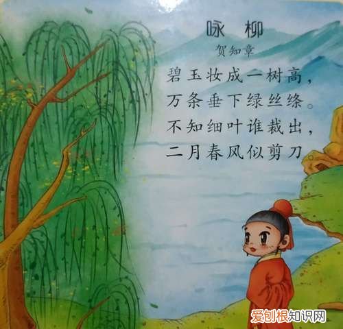 咏柳拟人手法是哪一句,咏柳采用了什么修辞手法描写了柳树的美