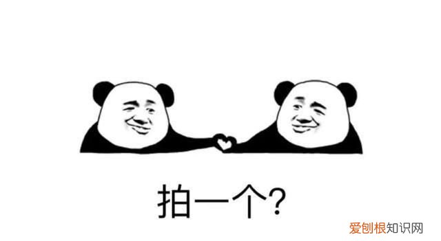 微信中拍一拍怎么用