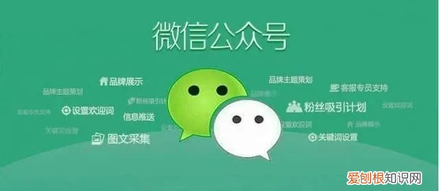 手机qq公众号在哪里看，腾讯看点关注的公众号怎么进入