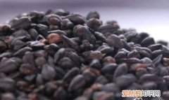 黑苦荞茶功效 黑苦荞有什么功效