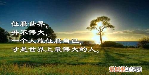 励志语录经典短句，残疾人励志语录经典短句