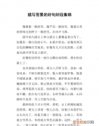 描写雪景的唯美句子，应雪景的唯美句子八个字