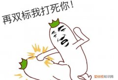 双标的意思网络用语，双标什么意思网络语