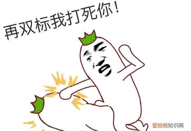 双标的意思网络用语,双标什么意思网络语