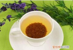 苦荞茶怎么喝最好