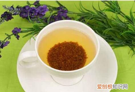 苦荞茶怎么喝最好