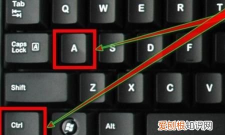word怎么全选