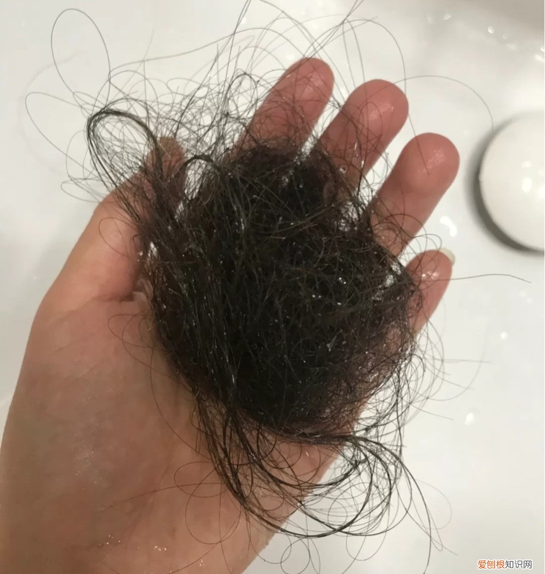 飘柔洗发水哪款最好