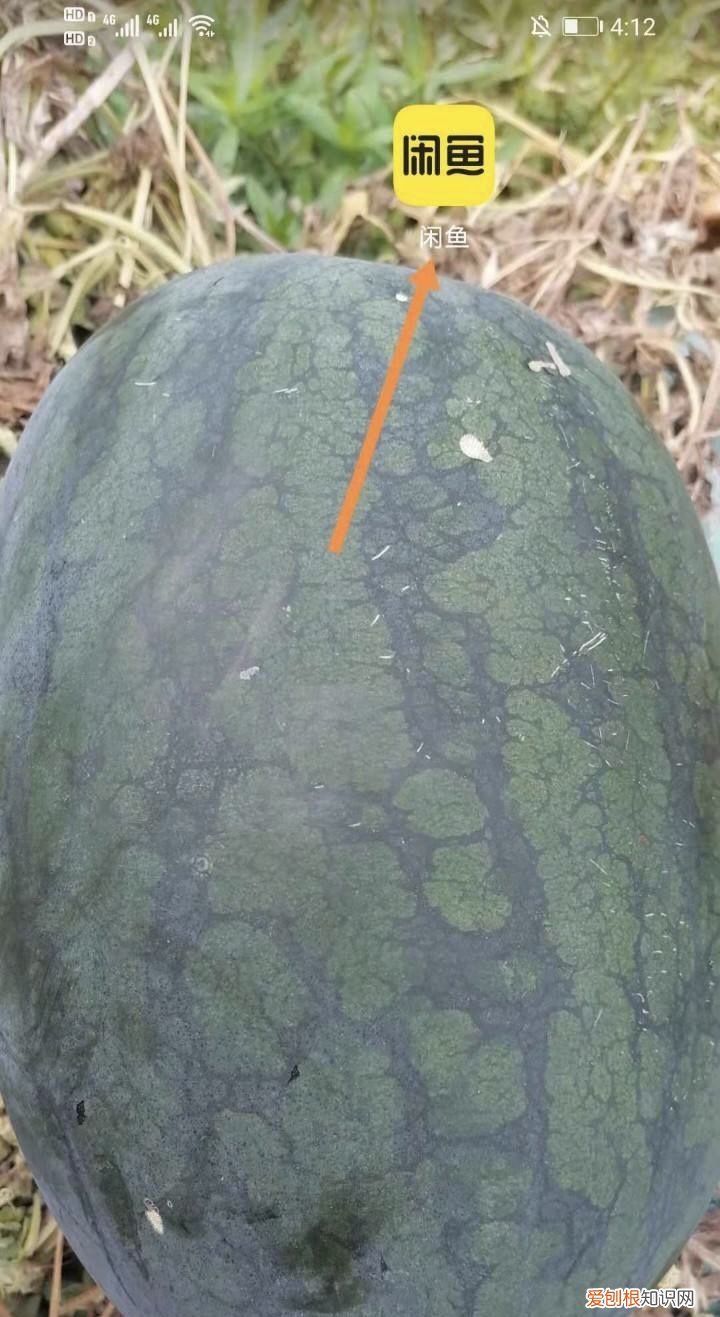 如何使用闲鱼回收二手手机