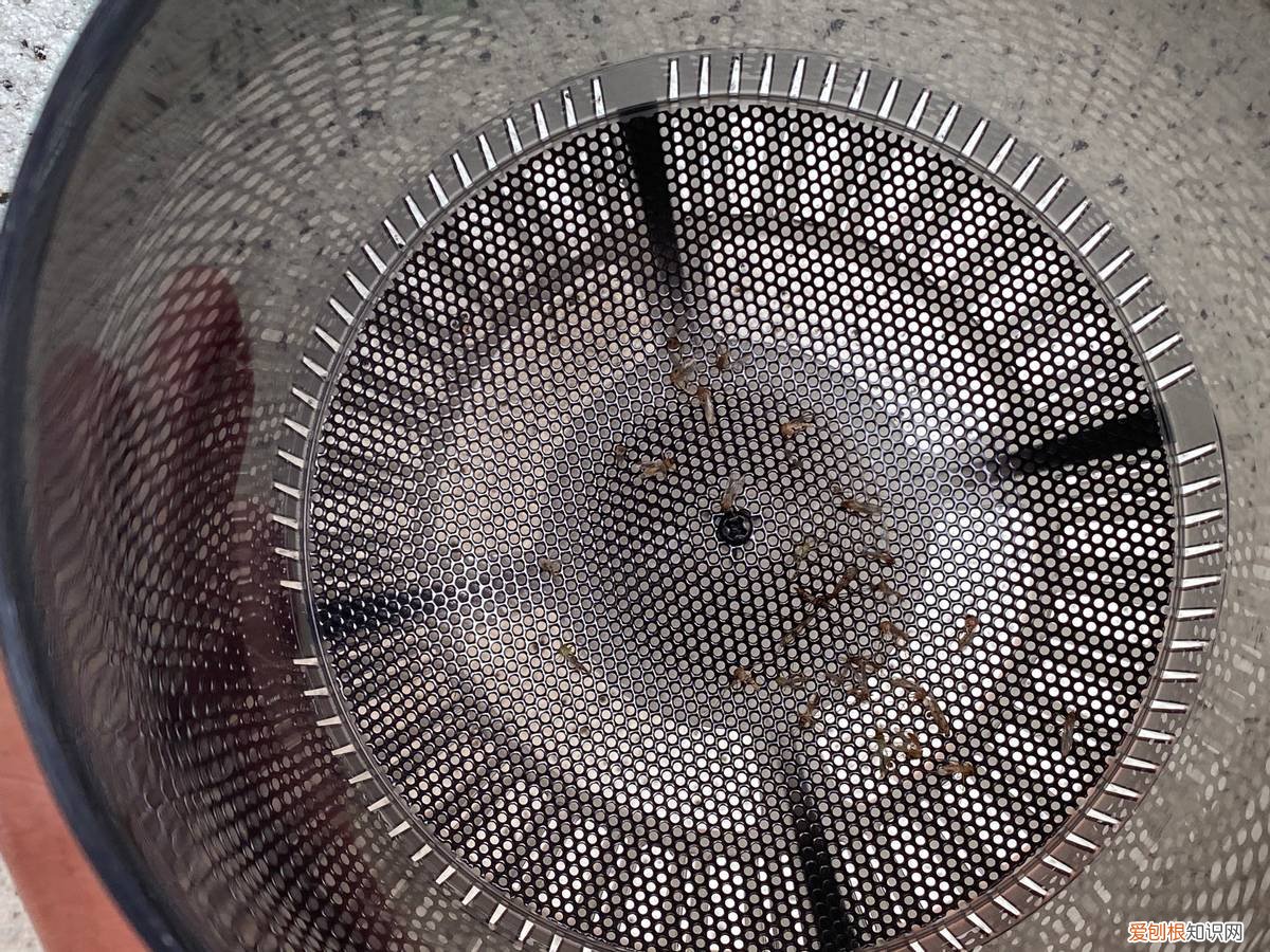 捕蚊灯的光对人有害吗