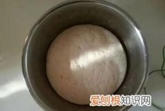 如何用烤箱发酵面团