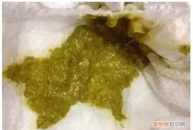 宝宝拉绿便的原因及解决方法,七个月宝宝大便是绿的什么原因