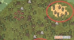 饥荒渡渡鸟幼鸟需要喂，《饥荒》养渡渡鸟圈养要不要喂食