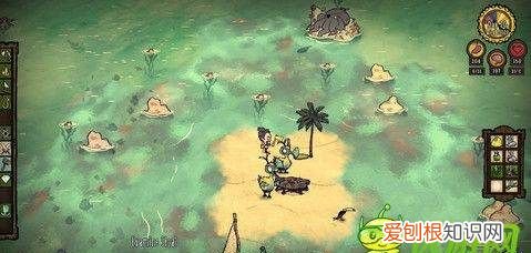 饥荒渡渡鸟幼鸟需要喂，《饥荒》养渡渡鸟圈养要不要喂食