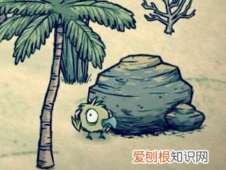 饥荒渡渡鸟幼鸟需要喂，《饥荒》养渡渡鸟圈养要不要喂食