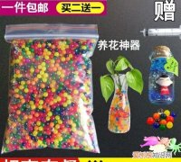 生长豆有没有毒，生长豆可以放鱼缸