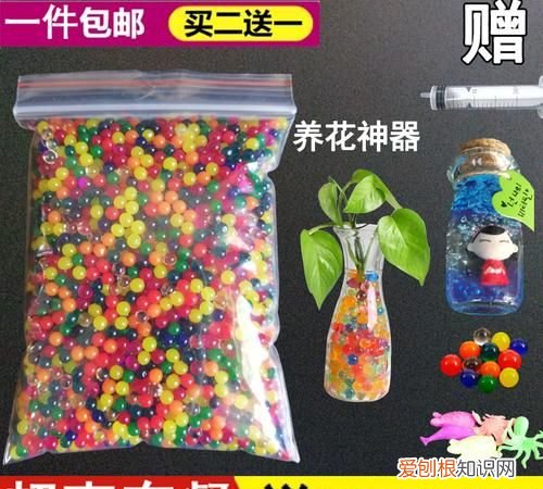 生长豆有没有毒，生长豆可以放鱼缸