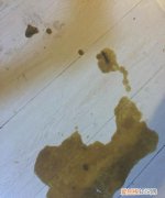 小狗水喝多了会拉稀，小狗水喝多了是不是便便会变稀了