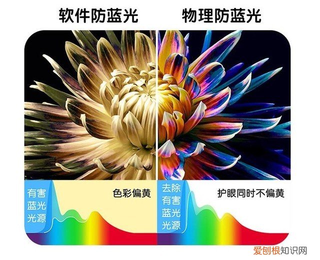 什么牌子电脑好用又实惠笔记本