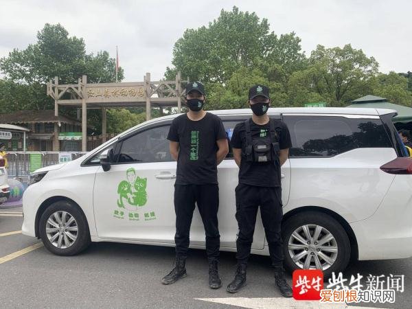 大闹南京的流浪猴被抓！细节曝光：不休不眠追踪4天，趁其睡觉时被抓获