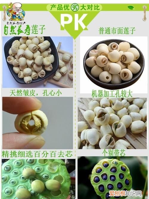 莲子怎么晒干不变色,莲子怎么晒不会起皱