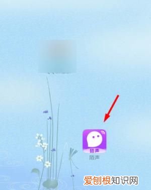 陌声聊天怎么还收费,陌声到底是怎么收费的
