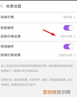 陌声聊天怎么还收费,陌声到底是怎么收费的