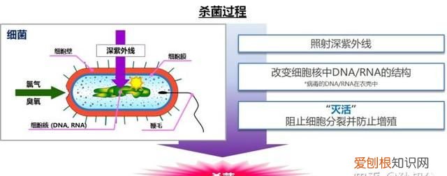 夏天脚臭穿鞋也有味道 穿鞋脚臭怎么办 教你除臭方法
