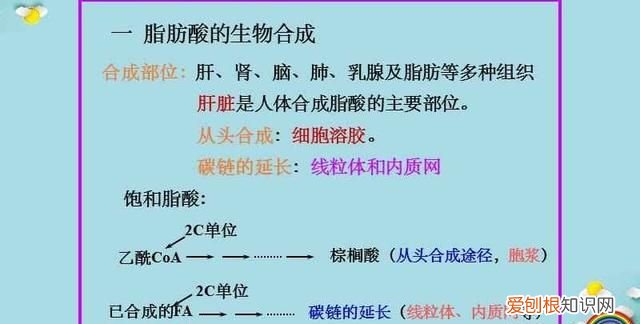 夏天脚臭穿鞋也有味道 穿鞋脚臭怎么办 教你除臭方法