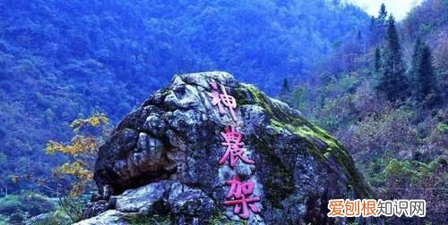 神农架深处为何进不去