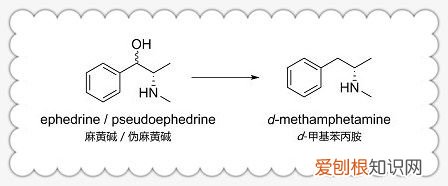 康泰克通气鼻贴有用吗