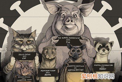 新冠病毒在北美鹿群中传播，不容忽视！！这意味着什么？