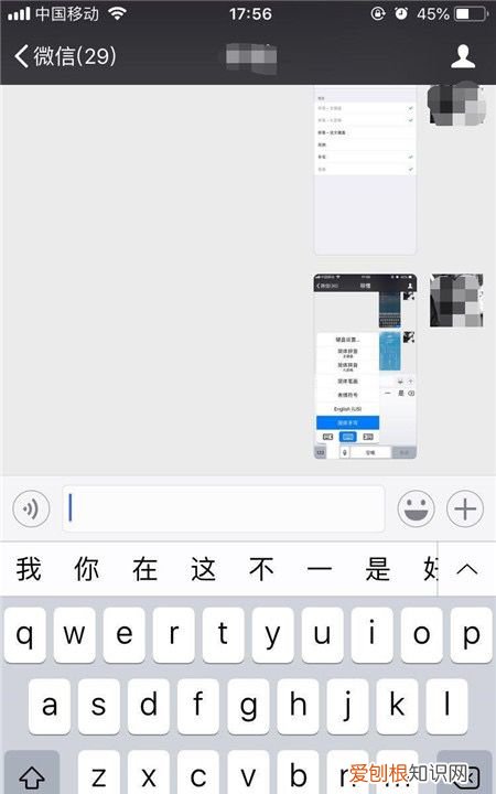 苹果手机怎么设置手写输入法