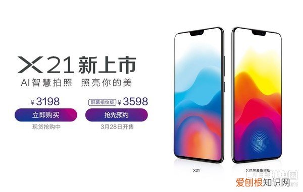 vivox21多少钱一台