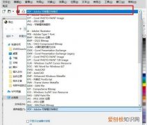 cdr怎样导出pdf格式文件，cdr该怎样才可以转换成pdf