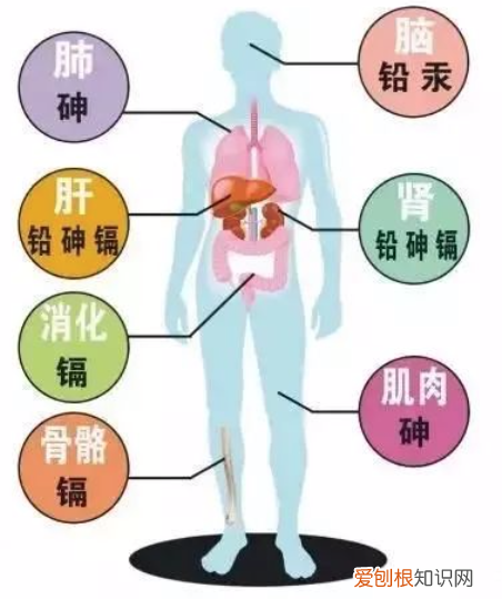 七波辉童鞋质量怎么样
