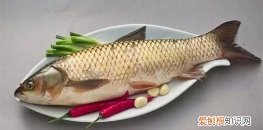 草鱼怎么炒好吃