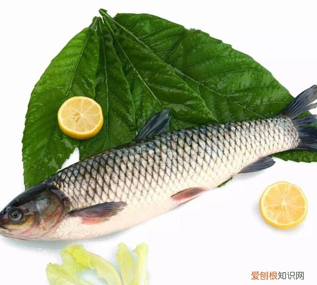 草鱼怎么炒好吃