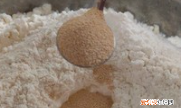 发酵面团如何制作，制作发酵面团可用什么作为发酵