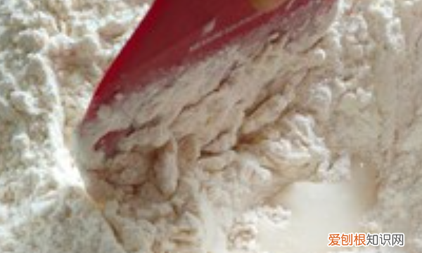 发酵面团如何制作，制作发酵面团可用什么作为发酵