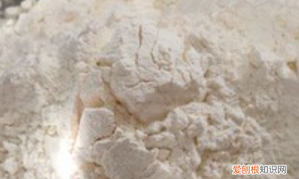 发酵面团如何制作，制作发酵面团可用什么作为发酵